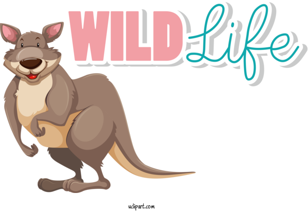 Free Holidays Cat Macropods Marsupials For World Wildlife Day Clipart Transparent Background