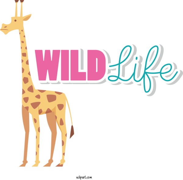 Free Holidays Giraffe Design Line For World Wildlife Day Clipart Transparent Background