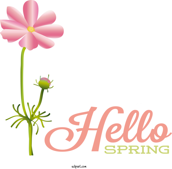 Free Nature Cut Flowers Plant Stem Design For Spring Clipart Transparent Background