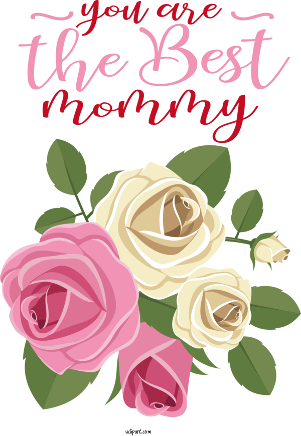Free Holidays Rose Flower Floral Design For Mothers Day Clipart Transparent Background