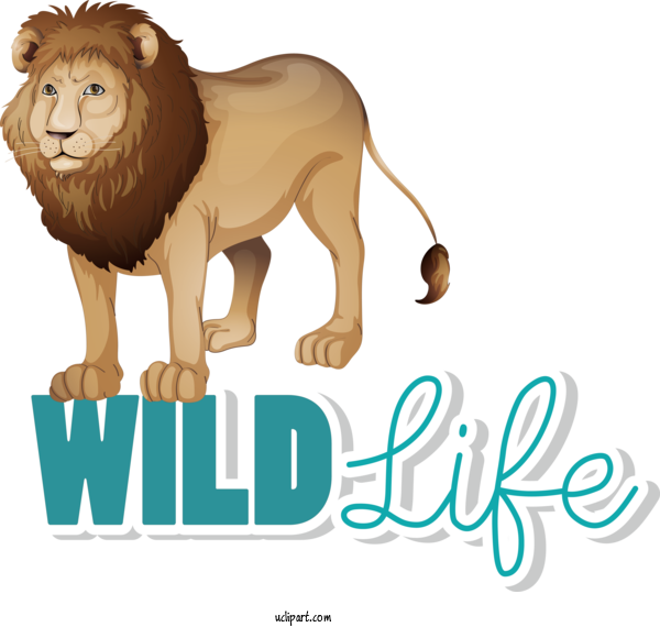 Free Holidays Lion Cat Cartoon For World Wildlife Day Clipart Transparent Background