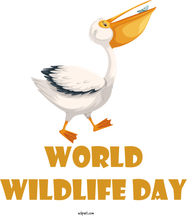 Free Holidays Birds Seabird Ducks For World Wildlife Day Clipart Transparent Background