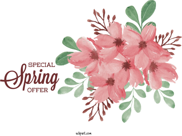 Free Nature Floral Design Flower Bouquet Flower For Spring Clipart Transparent Background