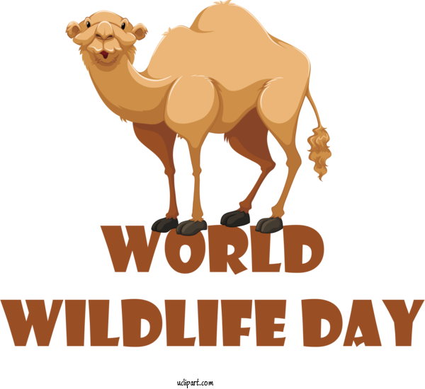 Free Holidays Dromedary Cartoon Logo For World Wildlife Day Clipart Transparent Background