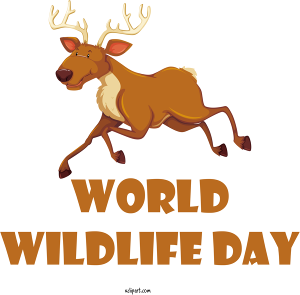 Free Holidays Lion Deer Tiger For World Wildlife Day Clipart Transparent Background