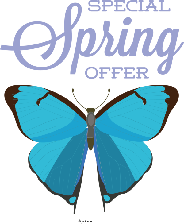 Free Nature Brush Footed Butterflies Text Moth For Spring Clipart Transparent Background