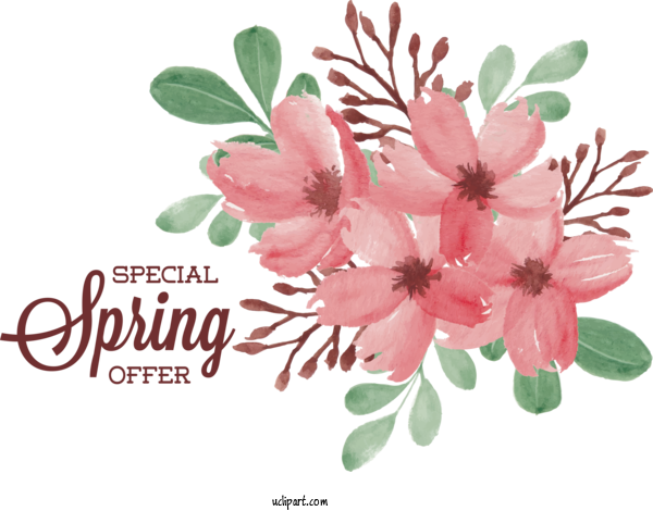 Free Nature Flower Flower Bouquet Floral Design For Spring Clipart Transparent Background