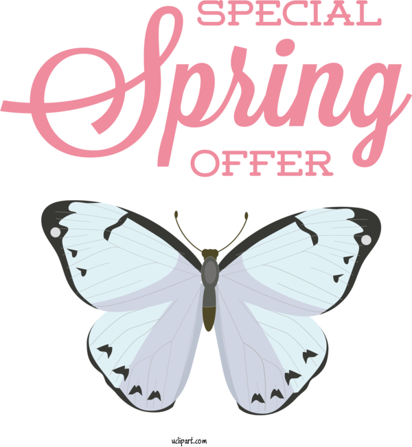 Free Nature Lepidoptera Brush Footed Butterflies Pieridae For Spring Clipart Transparent Background