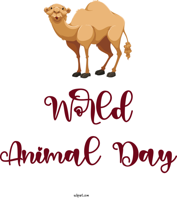 Free Holidays Dromedary Logo Snout For World Animal Day Clipart Transparent Background