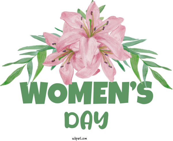 Free Holidays Watercolor Painting Lily Floral Design For International Women's Day Clipart Transparent Background