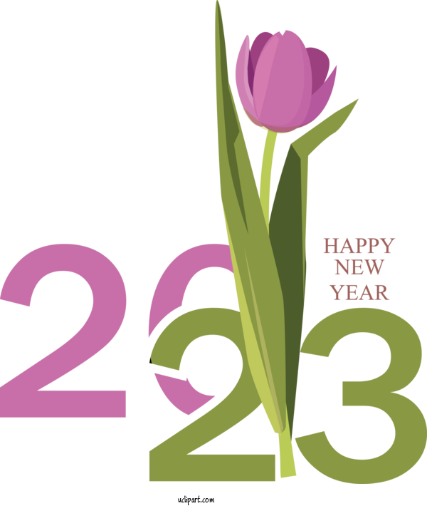Free Holidays Floral Design Plant Stem Cut Flowers For New Year 2023 Clipart Transparent Background
