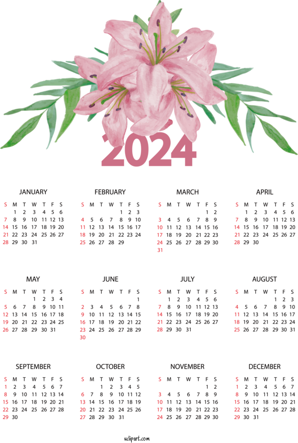 Free Yearly Calendar Drawing Design Painting For 2024 Yearly Calendar Clipart Transparent Background