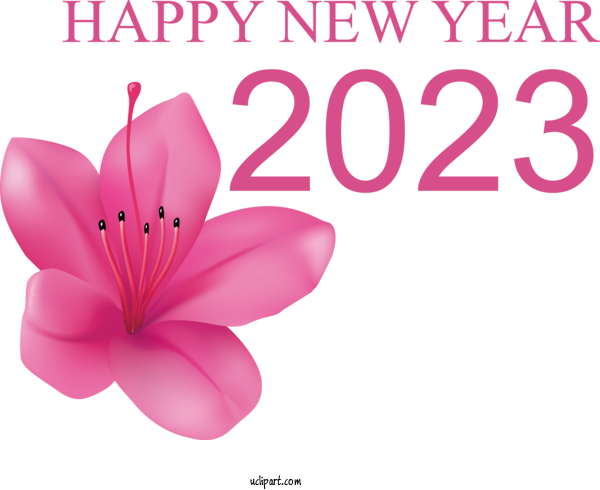 Free Holidays Flower Pwsz Państwowa Wyższa Szkoła Zawodowa W Nysie For New Year 2023 Clipart Transparent Background