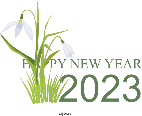 Free Holidays Plant Stem Cut Flowers Grasses For New Year 2023 Clipart Transparent Background