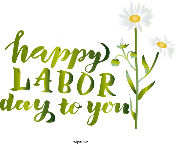 Free Holidays Floral Design Plant Stem Oxeye Daisy For Labor Day Clipart Transparent Background
