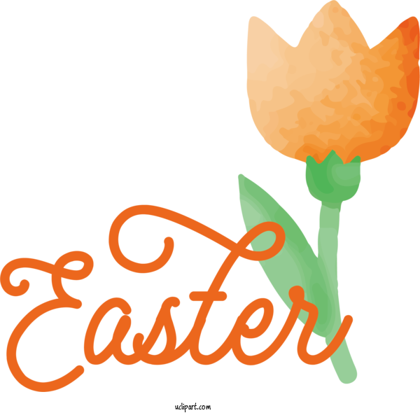 Free Holidays Flower Plant Stem Orange For Easter Clipart Transparent Background
