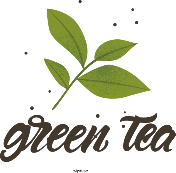 Free Drink Leaf Plant Stem Logo For Tea Clipart Transparent Background