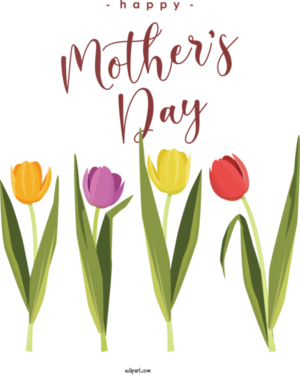 Free Holidays Plant Stem Floral Design Cut Flowers For Mothers Day Clipart Transparent Background
