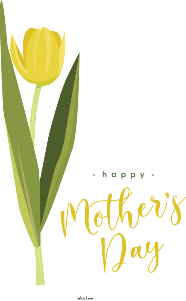 Free Holidays Flower Plant Stem Font For Mothers Day Clipart Transparent Background
