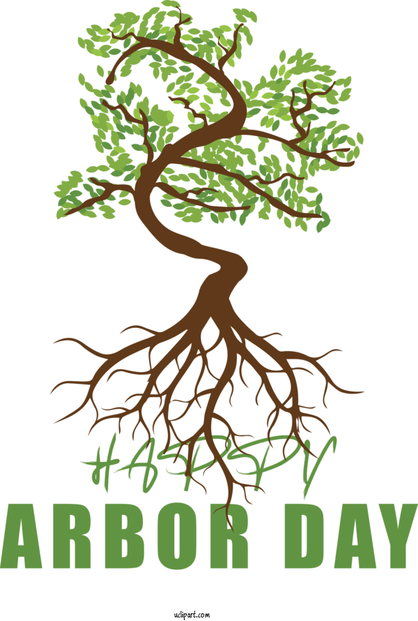 Free Holidays Tree Palms Branch For Arbor Day Clipart Transparent Background