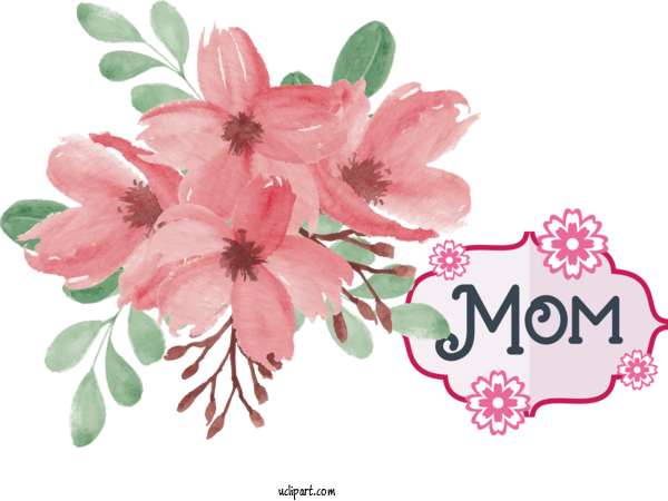Free Holidays Flower Watercolor Painting Cherry Blossom For Mothers Day Clipart Transparent Background