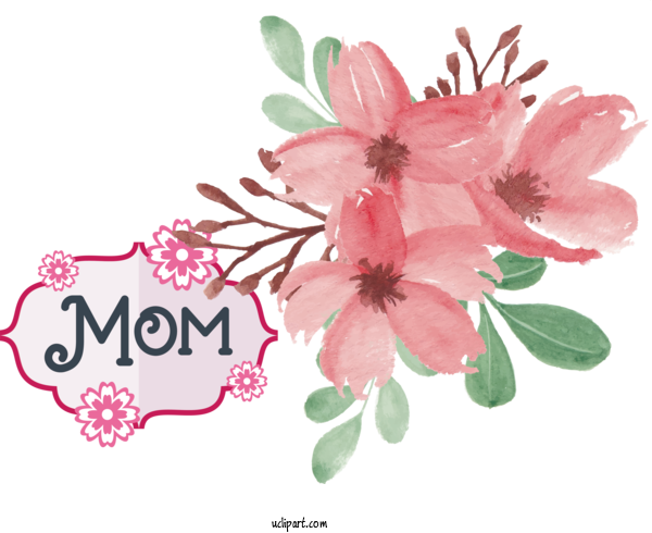 Free Holidays Flower Cherry Blossom Watercolor Painting For Mothers Day Clipart Transparent Background