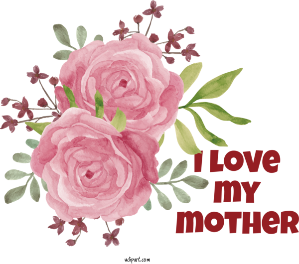 Free Holidays Flower Rose Floral Design For Mothers Day Clipart Transparent Background