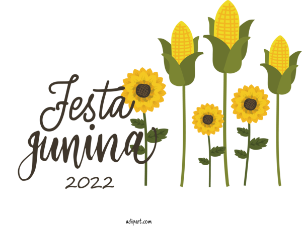 Free Holidays Floral Design Daisy Family Plant Stem For Brazilian Festa Junina Clipart Transparent Background