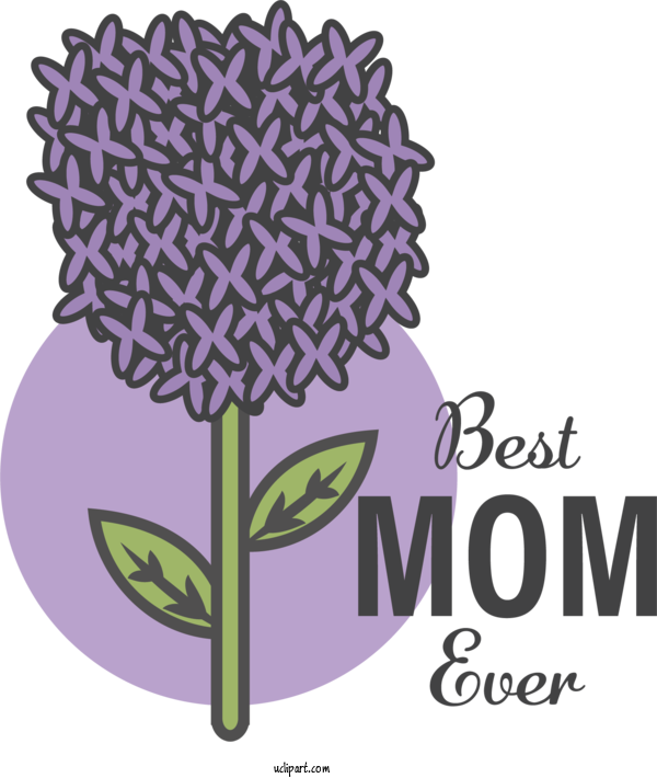 Free Holidays Flower Design Drawing For Mothers Day Clipart Transparent Background