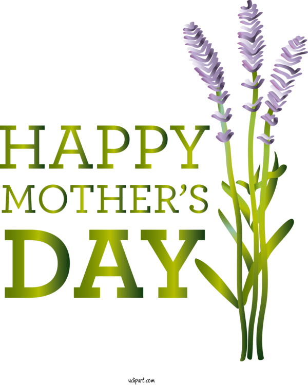 Free Holidays Plant Stem Cut Flowers Grasses For Mothers Day Clipart Transparent Background