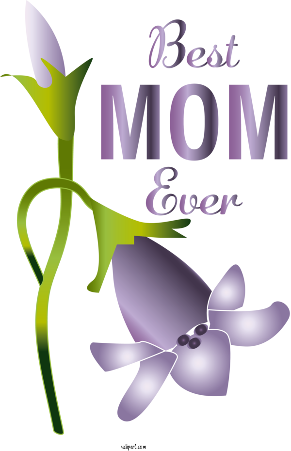 Free Holidays Flower Floral Design Flower Bouquet For Mothers Day Clipart Transparent Background