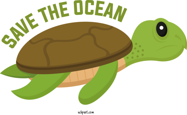 Free Nature Tortoise Sea Turtles Turtles For Ocean Clipart Transparent Background