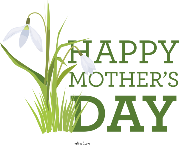 Free Holidays Plant Stem Grasses Flower For Mothers Day Clipart Transparent Background
