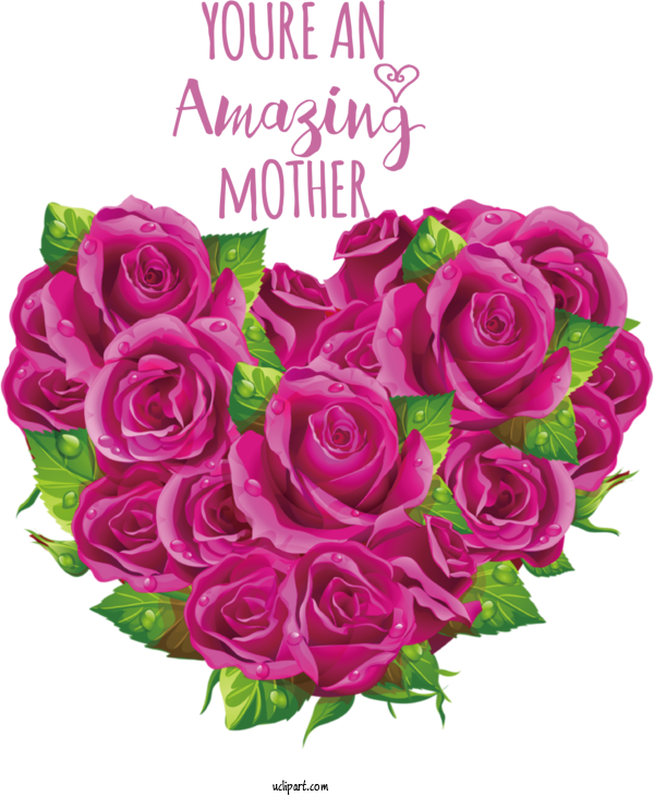Free Holidays Rose Floral Design Flower For Mothers Day Clipart Transparent Background