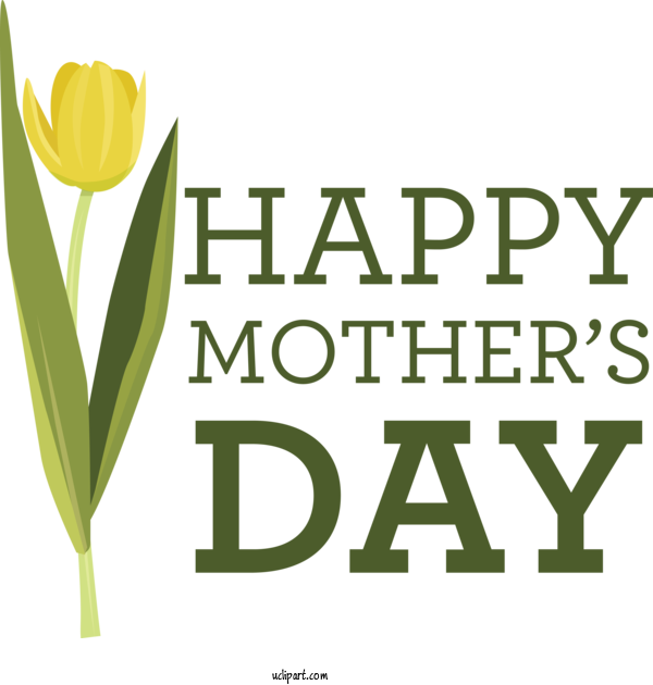 Free Holidays Plant Stem Logo Cut Flowers For Mothers Day Clipart Transparent Background