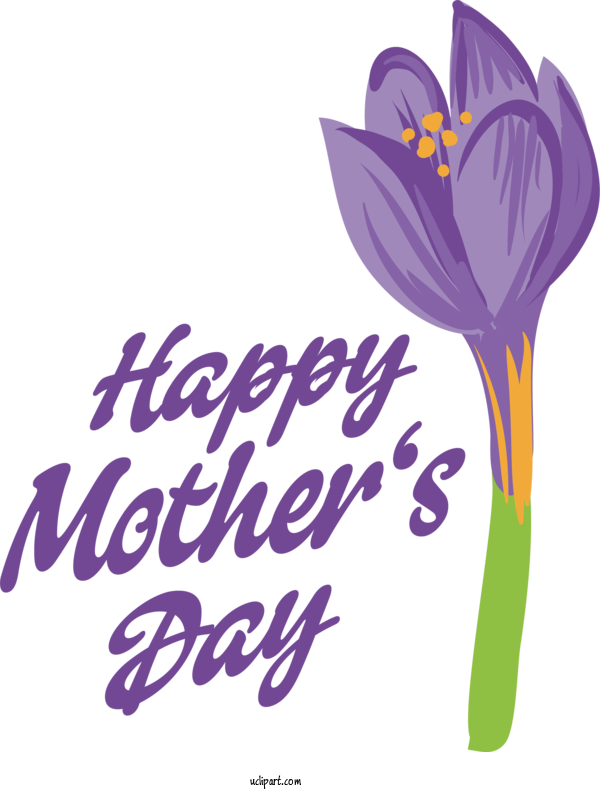 Free Holidays Flower Cut Flowers Crocus For Mothers Day Clipart Transparent Background