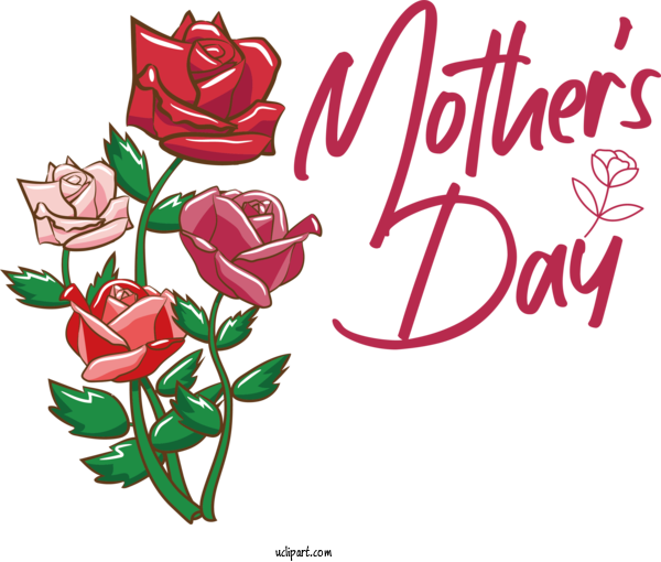Free Holidays Rose Garden Roses Flower For Mothers Day Clipart Transparent Background