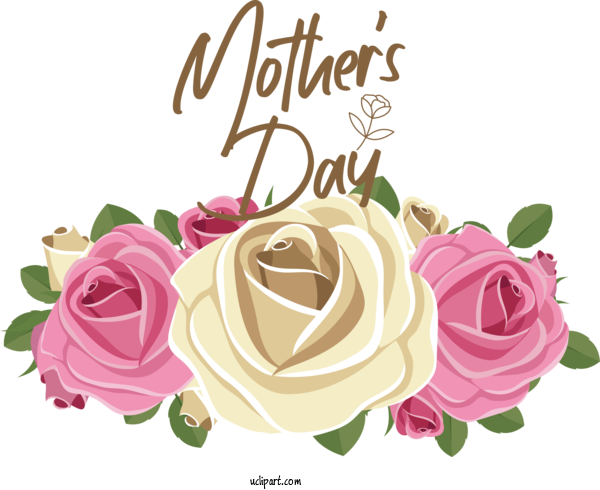Free Holidays Floral Design Garden Roses Cut Flowers For Mothers Day Clipart Transparent Background
