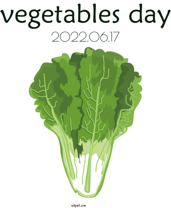 Free Food Napa Cabbage Romaine Lettuce Vegetarian Cuisine For Vegetable Clipart Transparent Background