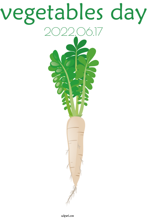 Free Food Radish Carrot Vegetable For Vegetable Clipart Transparent Background