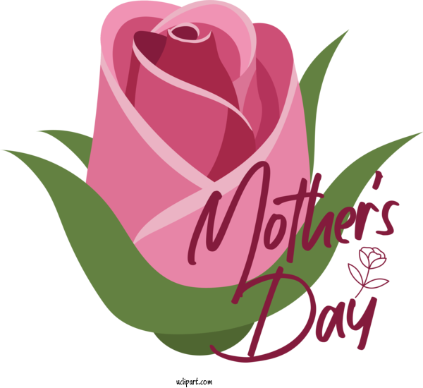 Free Holidays Garden Roses Floral Design Rose For Mothers Day Clipart Transparent Background