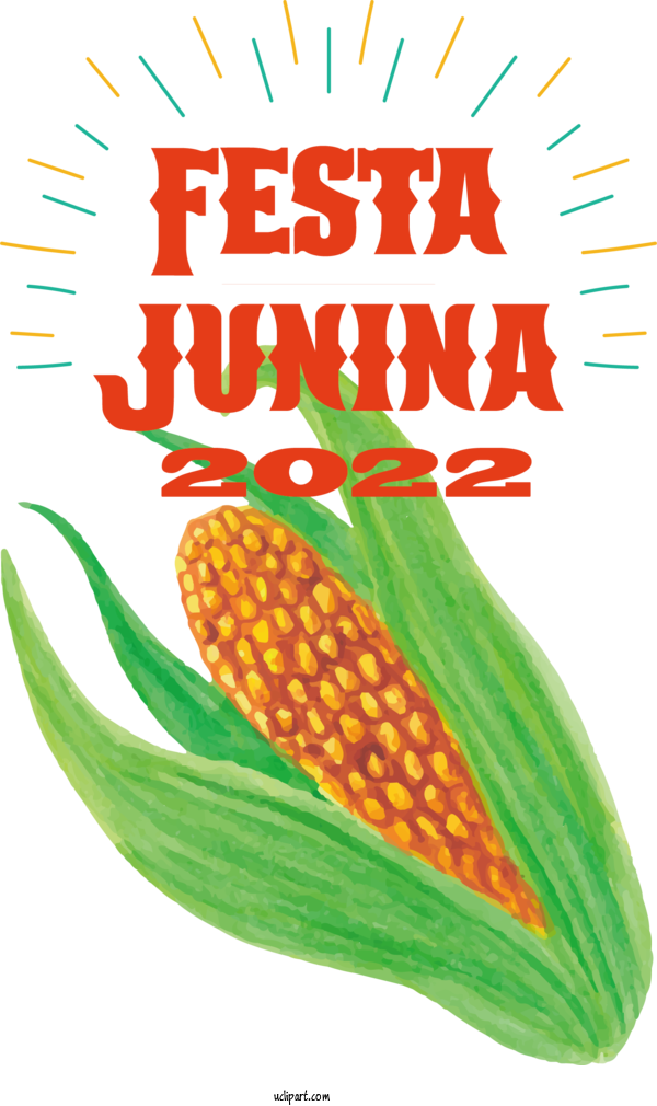 Free Holidays Corn On The Cob Vegetable Sweet Corn For Brazilian Festa Junina Clipart Transparent Background