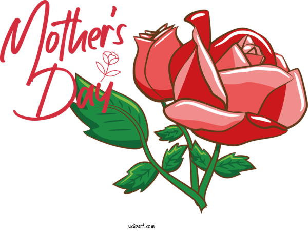Free Holidays Rose Floral Design Design For Mothers Day Clipart Transparent Background