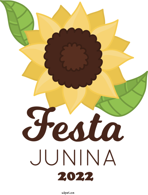 Free Holidays Daisy Family Sunflower Seed Floral Design For Brazilian Festa Junina Clipart Transparent Background