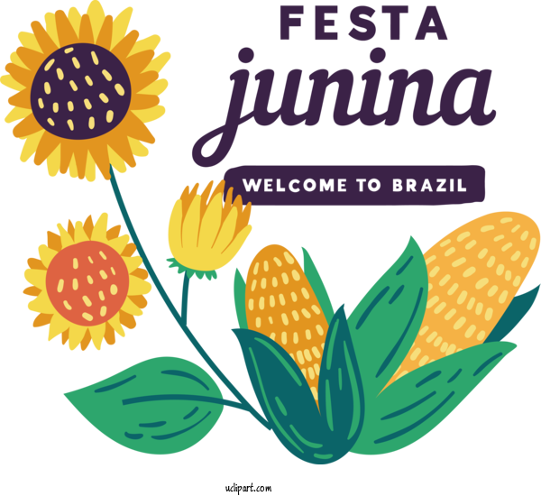 Free Holidays Flower Petal Icon For Brazilian Festa Junina Clipart Transparent Background