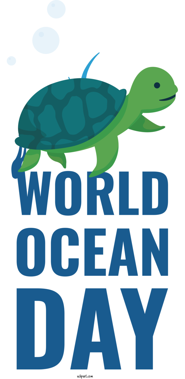 Free Nature Sea Turtles Design Turtles For Ocean Clipart Transparent Background