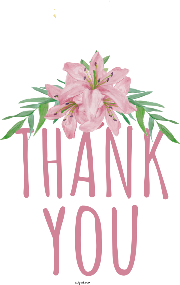 Free Occasions Flower Watercolor Painting Floral Design For Thank You Clipart Transparent Background