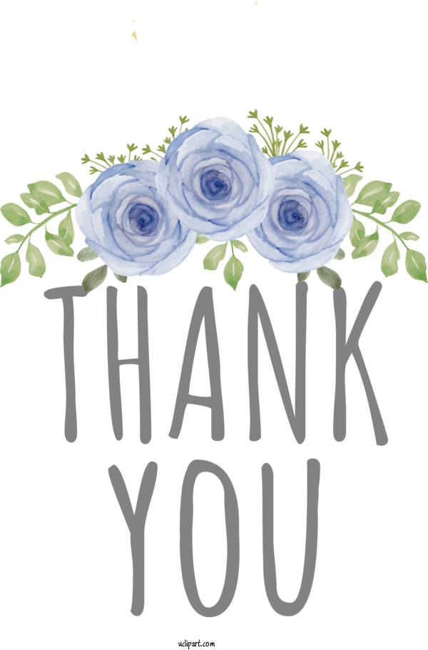 Free Occasions Flower Floral Design Rose For Thank You Clipart Transparent Background