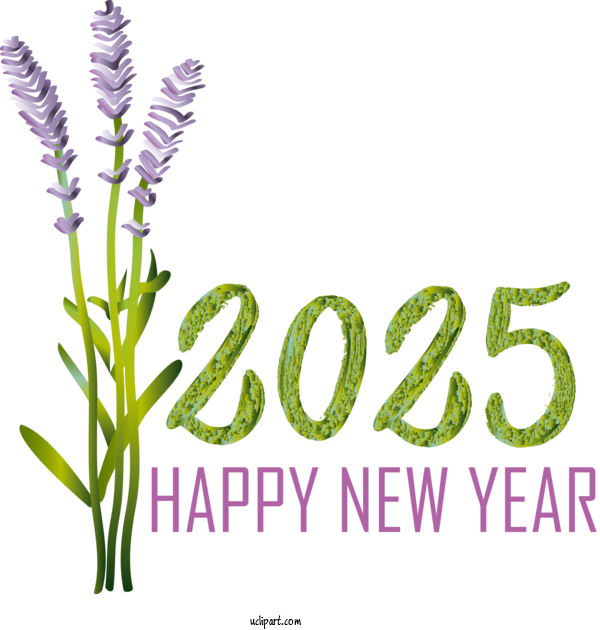 Free Holidays Flower Plant Stem Grasses For 2025 NEW YEAR Clipart Transparent Background