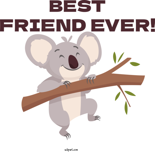 Free Holiday Koala Bears Cuteness For Best Friend Ever Clipart Transparent Background